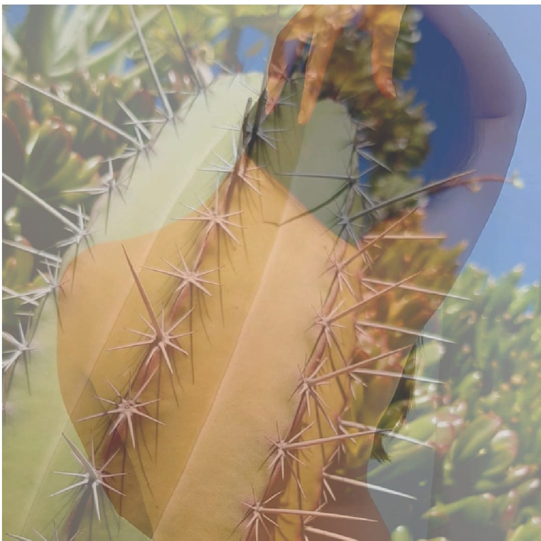 IMG-20201106-WA0062_(002)